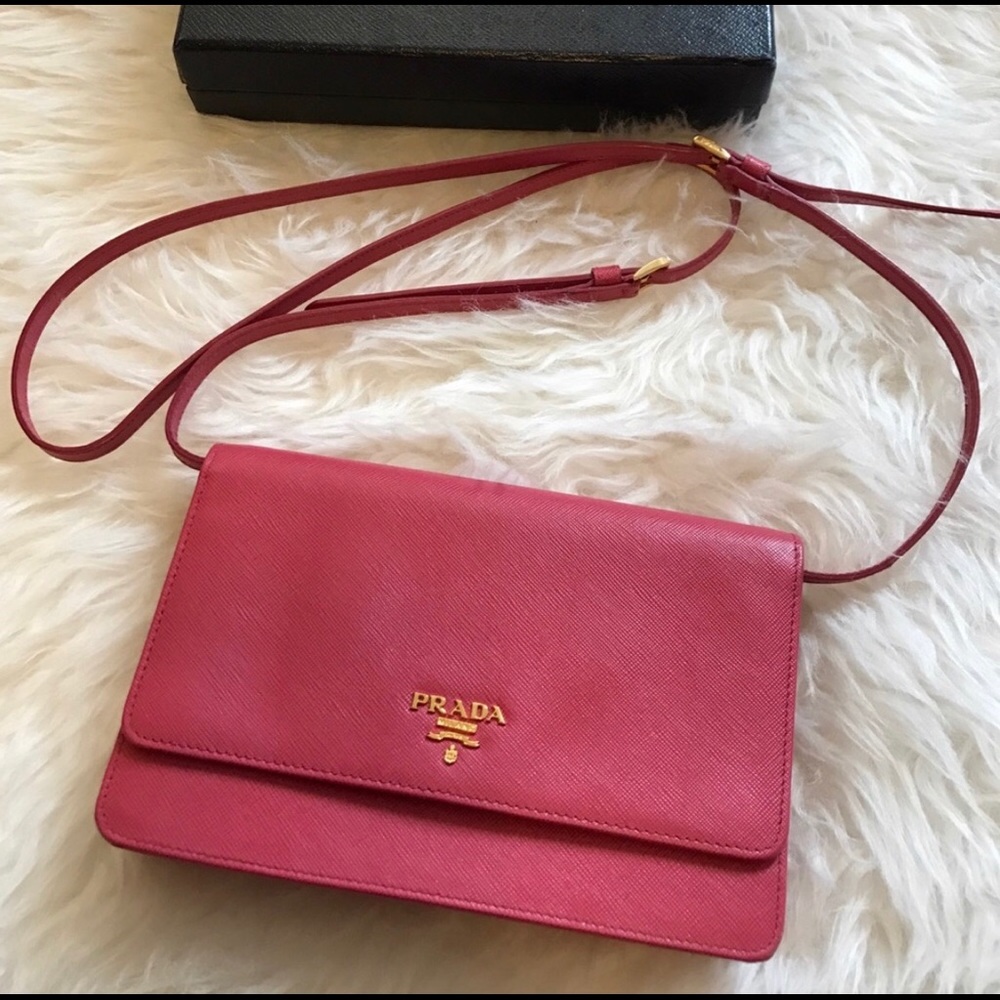 Prada Leather Wallet on Chain + Crossbody Bag